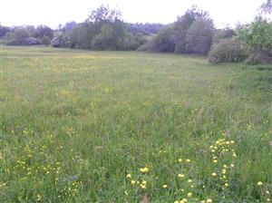 Pohľad na plochu TML