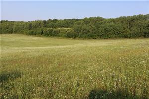 Záber na monitorovanú lokalitu.