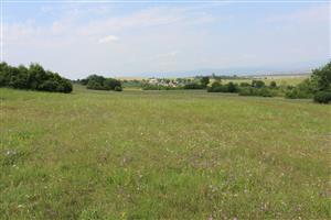 Záber na monitorovanú lokalitu.