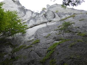 Pohľad na lokalitu - detail