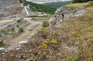 Celkový pohľad na biotop