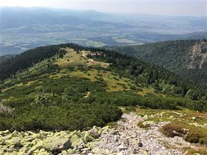 Celkovy pohlad na komplex biotopov TML_6230_171 a TML_4060_075 z kremencoveho hrebienka na j. svahu Chlebu