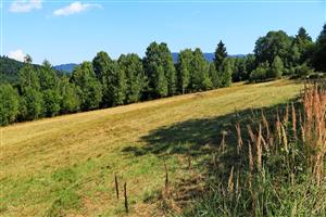 Pohľad na časť lokality