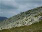 Silikátové skalné sutiny v montánnom až alpínskom stupni (31.7.2017)