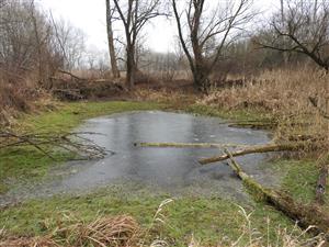 Lokalita Marhecké mosty - meander