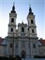podkovár malý (30.5.2014)