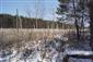 Castorland