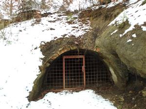 Zamrežovaný vstupný otvor pivnice