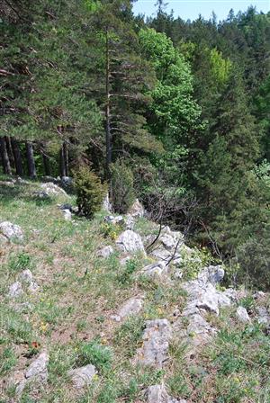 Pohľad na TML_PulsSLav_022_2