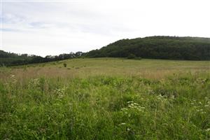 Celkový pohľad na lokalitu od cesty