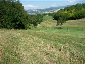 Celkový pohľad na lokalitu