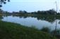 netopier veľkouchý (10.8.2014)