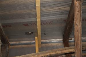 úprava v podkroví a lietajúce netopiere