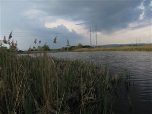 TML Ivančiná