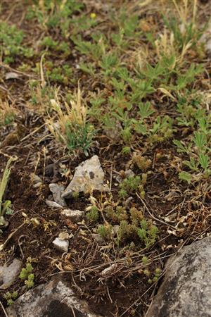 Záber na monitorovaný biotop.