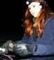 Myotis myotis