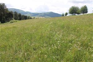 celkový pohľad na TML