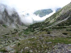 nefcerka6