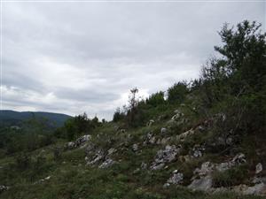 Pohľad na TML_5130_072. Vystupujúce škrapy
