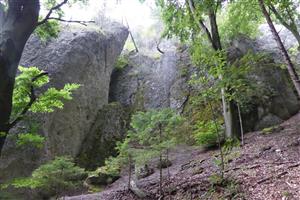 pohľad na lokalitu (v hornej časti) 1