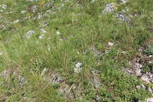 Záber na monitorovaný biotop.