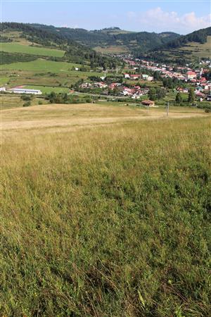 Záber na monitorovaný biotop.
