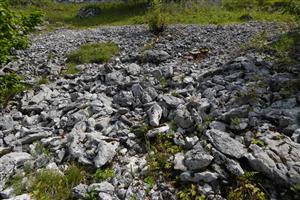 pohľad na lokalitu 6