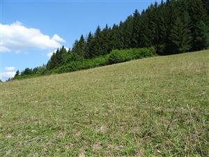 pohlad na severnú plochu