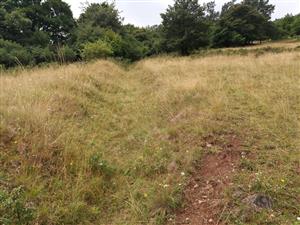 odvodňovací rigol vybudovaný v minulosti