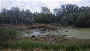 TML, aluviálne depresie Starej Nitry