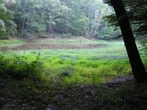 miesto odchytu