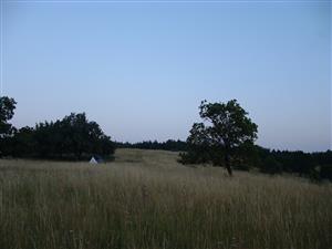 TMP1 (Kečovské lúky)
