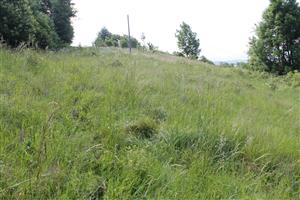 celkový pohľad na TML