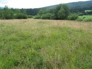 TML_7110_009, 2014_07_24, č. 01
