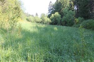 celkový pohľad na TML