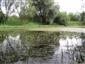 Prirodzené eutrofné a mezotrofné stojaté vody s vegetáciou plávajúcich a/alebo ponorených cievnatých rastlín typu Magnopotamion alebo Hydrocharition (14.7.2014)