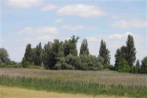 Habitat línie