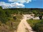 jašterica zelená (17.7.2018)