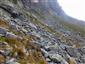 Silikátové skalné sutiny v montánnom až alpínskom stupni (30.8.2018)