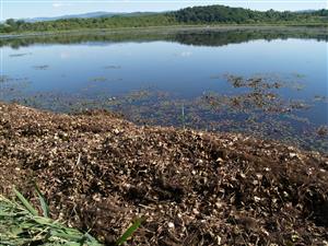 Zelené, celkový pohľad na TML