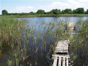 Celkový pohľad na lokalitu pri dlhodobo opustenom drevenom móle