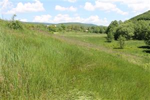 západná časť TML