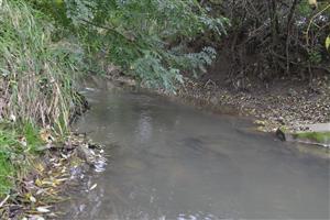 Chvojnica, Močidľany, začiatok proti púdu