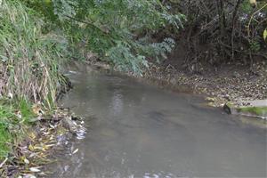 Chvojnica, Močidľany, začiatok proti púdu