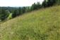 Suchomilné travinnobylinné a krovinové porasty na vápnitom podloží (*dôležité stanovištia Orchideaceae) (2.8.2014)