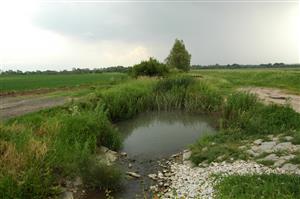 TML z horného okraja, vpravo ochranná hrádza, líniový brehový porast.