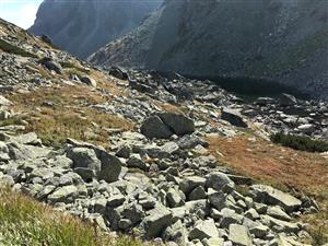 Pohlad od svahu pod Zbojnickou chatou s,merom k Dlhemu plesu. Mozaika vysokotravinnych niv s Calamagrostis villosa, nizkych krickov s Vaccinium gaultherioiudes, porastov s Festuca picturata a Luzula alpinopilosa s kyslomilnymi travnikmi zvazu JUncion trif