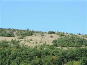 TMP2_TML_StenEura_006