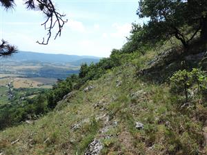 TMP3TML_StenEura_002