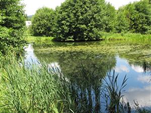 Celkový pohľad na lokalitu